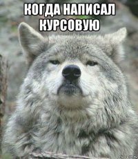 когда написал курсовую 