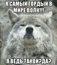 я самый гордый в мире волк!!! я ведь такой?да?