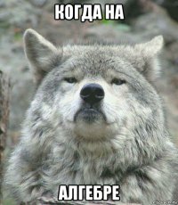 когда на алгебре