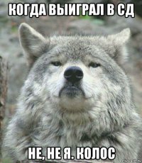 когда выиграл в сд не, не я. колос