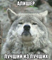 алишер лучший из лучших