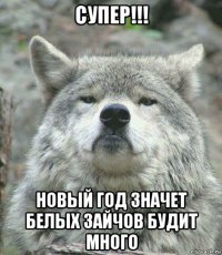 супер!!! новый год значет белых зайчов будит много