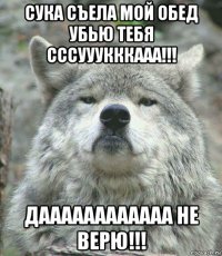 сука съела мой обед убью тебя сссууукккааа!!! даааааааааааа не верю!!!