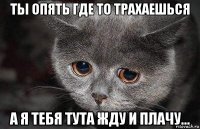 ты опять где то трахаешься а я тебя тута жду и плачу...