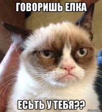 говоришь елка есьть у тебя??