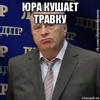 юра кушает травку 