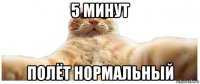 5 минут полёт нормальный