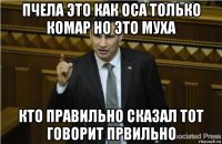 пчела это как оса только комар но это муха кто правильно сказал тот говорит првильно