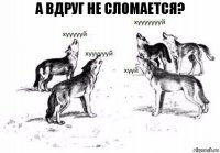 А вдруг не сломается?