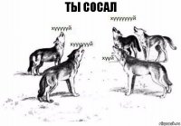 ты сосал