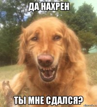 да нахрен ты мне сдался?