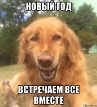 новый год встречаем все вместе