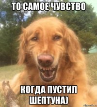 то самое чувство когда пустил шептуна)