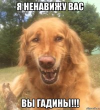 я ненавижу вас вы гадины!!!