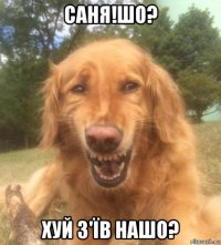 саня!шо? хуй з'їв нашо?