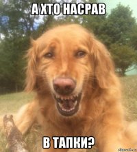 а хто насрав в тапки?