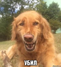  убил