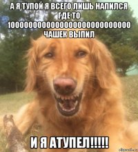 а я тупой я всего лишь напился где то 1000000000000000000000000000 чашек выпил и я атупел!!!!!