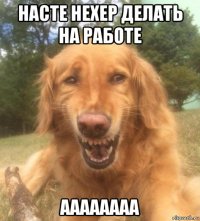 насте нехер делать на работе аааааааа