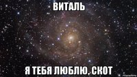 виталь я тебя люблю, скот