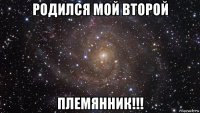 родился мой второй племянник!!!