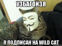 узбагойзя я подписан на wild cat