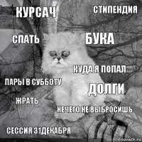 Курсач Долги Бука Сессия 31декабря Пары в субботу Стипендия Нечего не выбросишь Спать Жрать Куда я попал