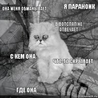 Она меня обманывает Что-то скрывает В вотспап не отвечает Где она С кем она Я параноик    