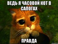 ведь я часовой кот в сапогах правда