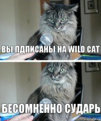 вы пдписаны на wild cat бесомненно сударь