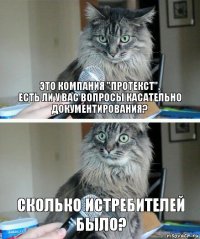 Это компания "Протекст".
Есть ли у вас вопросы касательно документирования? Сколько истребителей было?