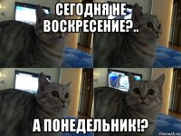 сегодня не воскресение?.. а понедельник!?