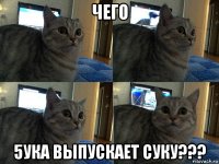 чего 5ука выпускает суку???