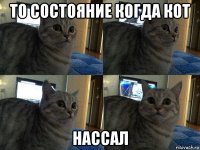 то состояние когда кот нассал