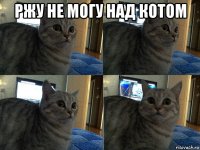 ржу не могу над котом 