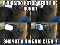 я люблю котов стоп я не понял значит я люблю себя !!