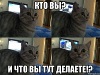 кто вы? и что вы тут делаете!?