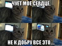 чует мое сердце, не к добру все это....