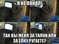 я не понял! так вы меня за тапки,или за ёлку ругаете?