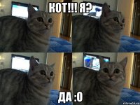 кот!!! я? да :o