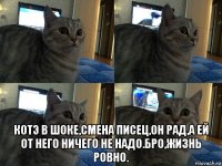  котэ в шоке,смена писец,он рад,а ей от него ничего не надо.бро,жизнь ровно.