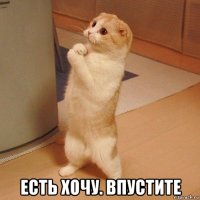  есть хочу. впустите