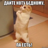 дайте коту бедному, па есть!