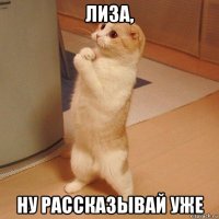 лиза, ну рассказывай уже