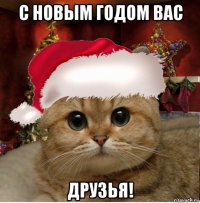 с новым годом вас друзья!