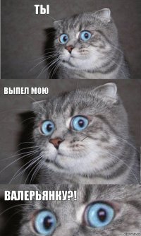 ты выпел мою ВАЛЕРЬЯНКУ?!