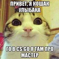 привет, я кошак улыбака го в cs:go я там про мастер