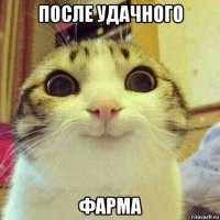 после удачного фарма