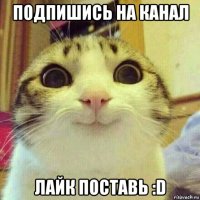 подпишись на канал лайк поставь :d