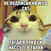 не подписан на wild cat тогда я приду и нассу те в тапки